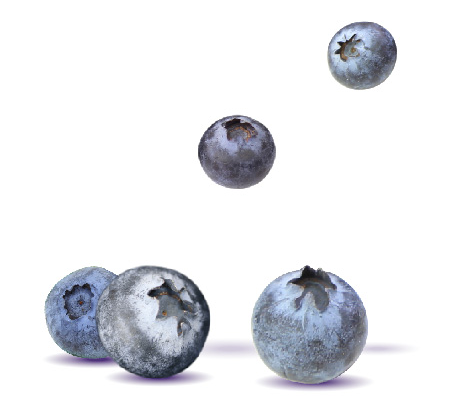 Various berry extracts contract manufacturer