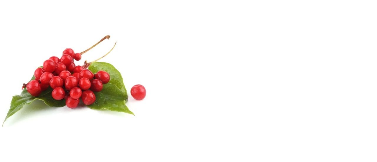 蔓越莓，越橘，泌尿道感染預防保健食品