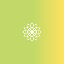 杭菊萃取