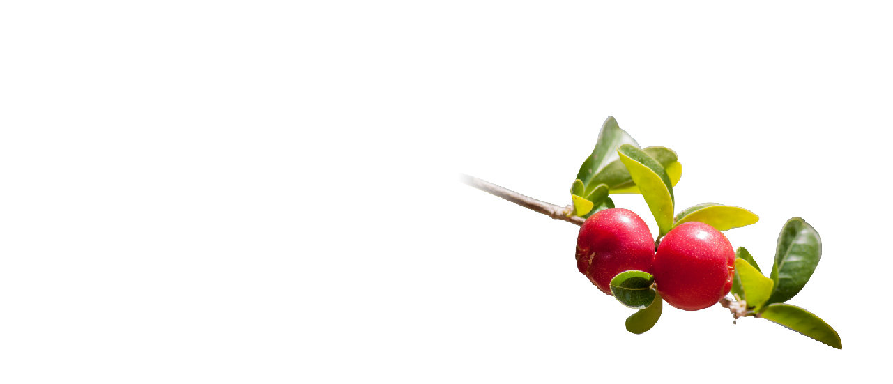Acerola supplement contract manufacturer