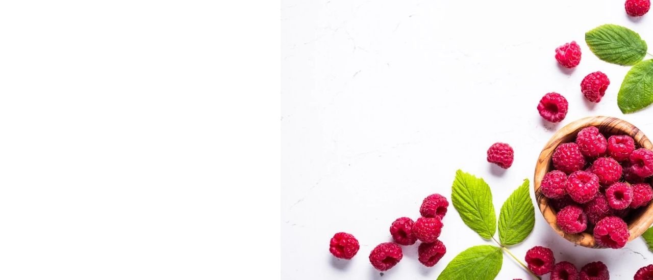 覆盆莓抽出物 保健食品代工