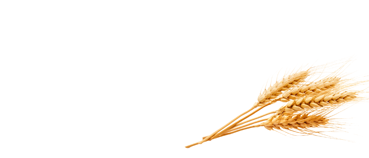 益生質 保健食品代工