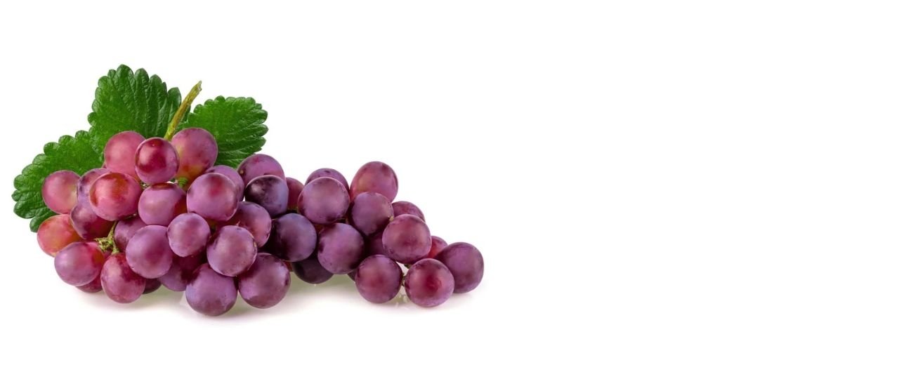 Antioxidant supplement contract manufacturer