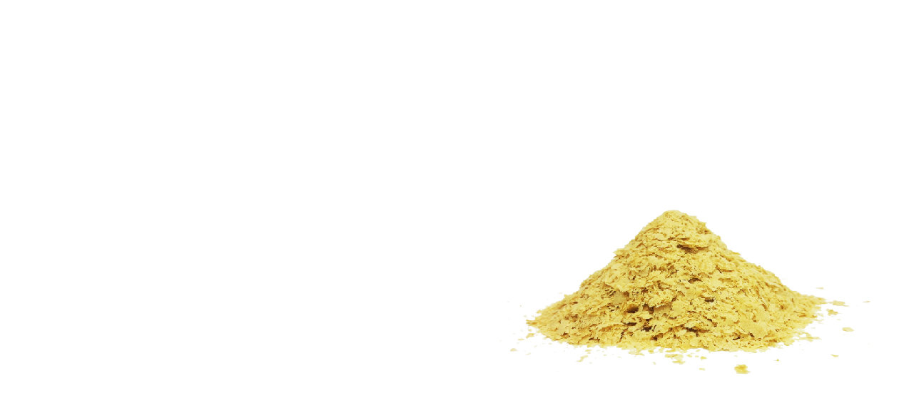 Saccharomyces cerevisiae manufacturer