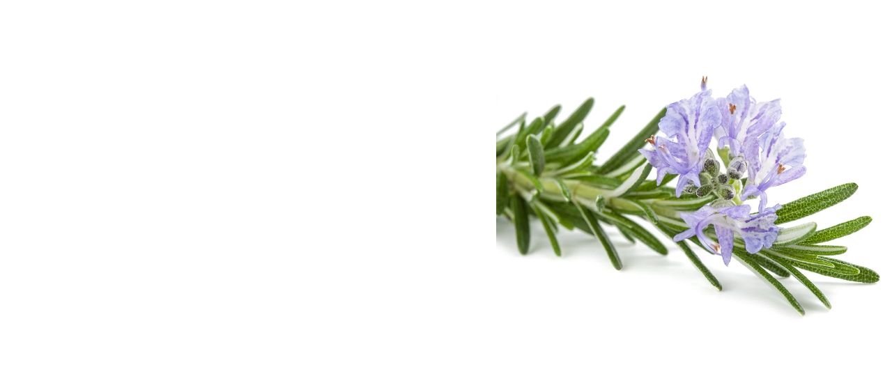 Apigenin contract manufacturer