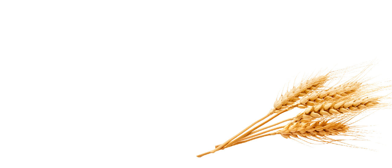 Plant-based dietary fiber supplement contract manufacturer