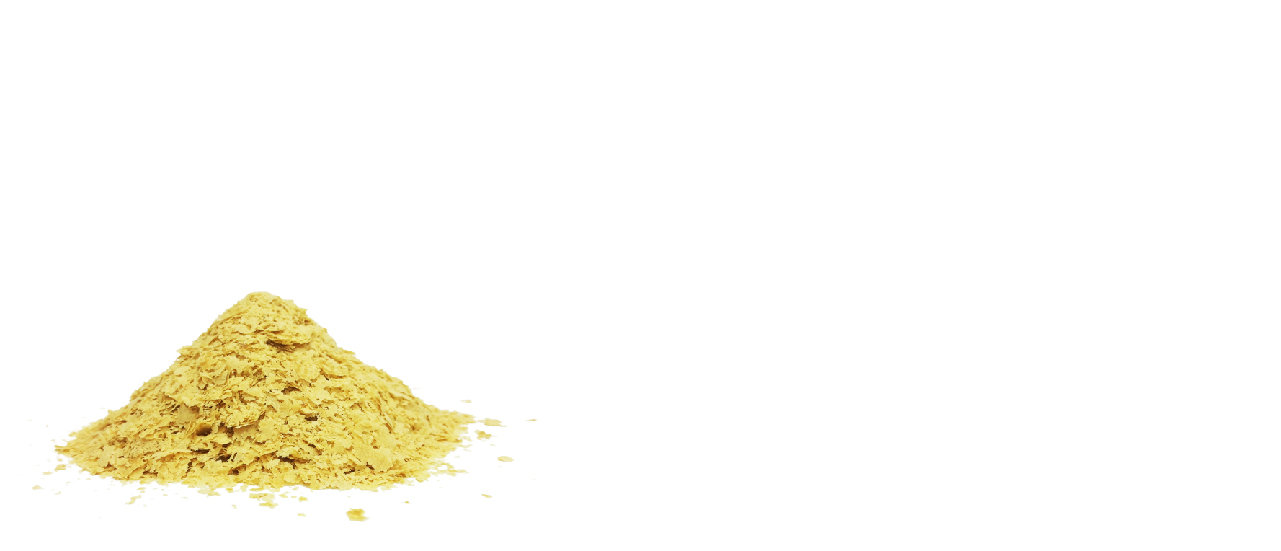 Saccharomyces cerevisiae supplement contract manufacturer