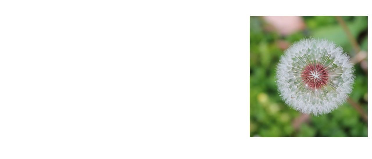 Flavonoids supplement contract manufacturer