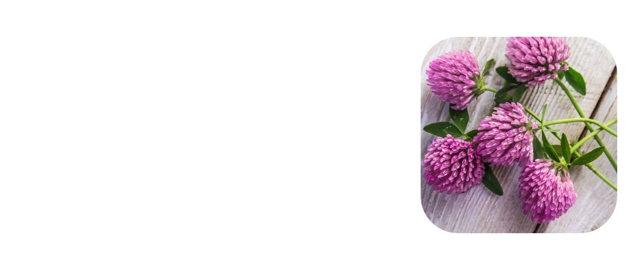 Isoflavones supplement contract manufacturer