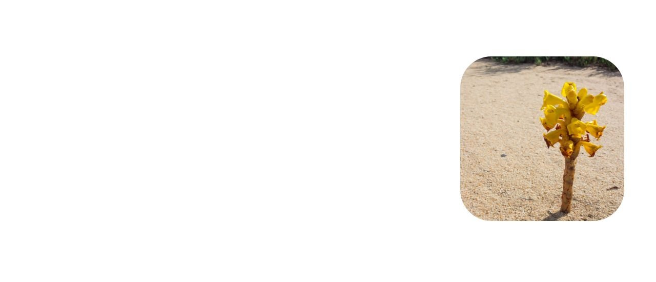 Maca men power supplement contract manufacturer