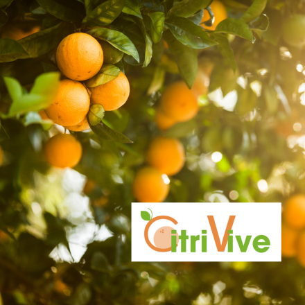 CitriVive™柑橘生物類黃酮