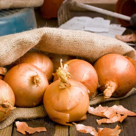 Onion Extract (Contains Quercetin)