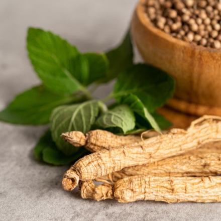 Ginseng Leaf Extract