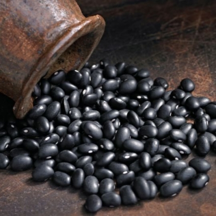 Black Bean Seed Coat Extract