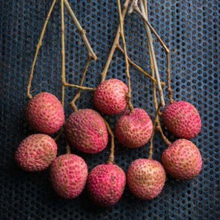 Litchi Seed Extract