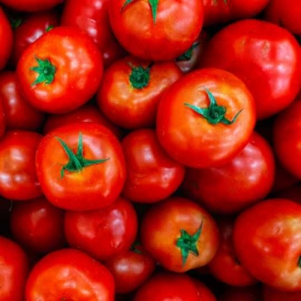 番茄萃取物 