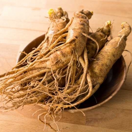 Red Ginseng Extract