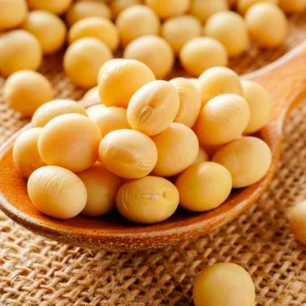 Soybean Extract (Contains Isoflavones)