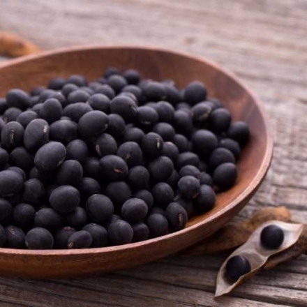 Black Soybean Seed Extract