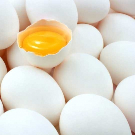 Egg yolk Powder