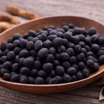 Black Soybean Seed Extract